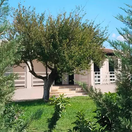 Evridiki فيلة